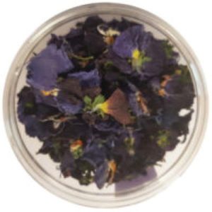 Viole scure disidratate Ice Wer – barattolo gr.10