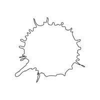 Colorante alimentare in polvere bianco Ice wer – barattolo gr.100